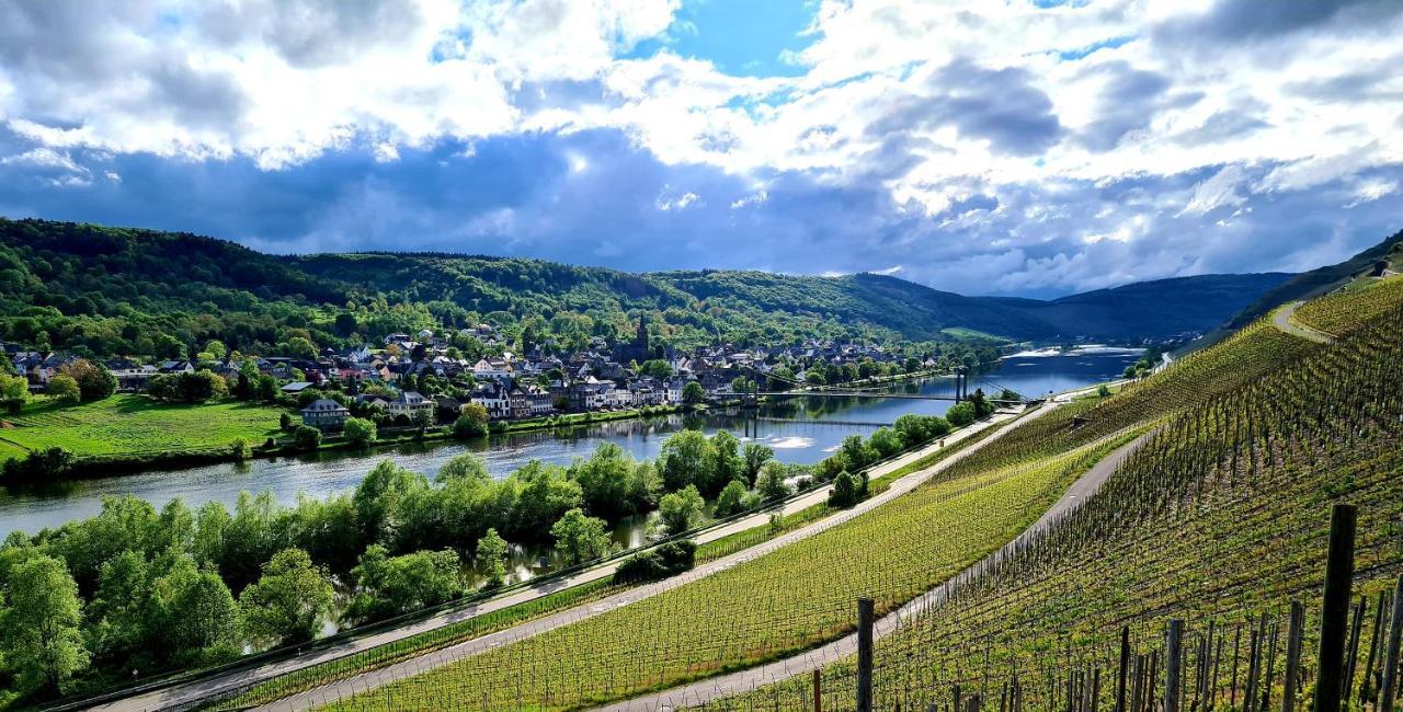 Sonnenufer Apartment & Moselwein II Bernkastel-Kues Ngoại thất bức ảnh