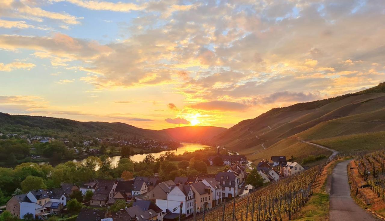Sonnenufer Apartment & Moselwein II Bernkastel-Kues Ngoại thất bức ảnh